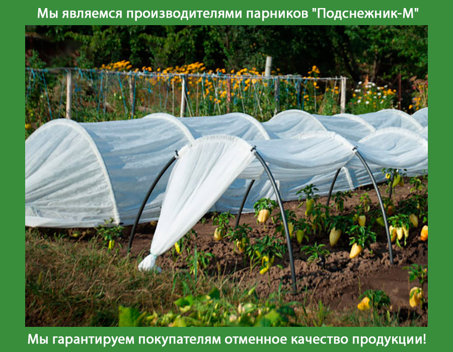Парник подснежник сделать самому